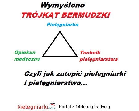 Pielęgniarka/Pielęgniarz – opiekun medyczny – technik pielęgniarstwa. Trójkąt bermudzki.