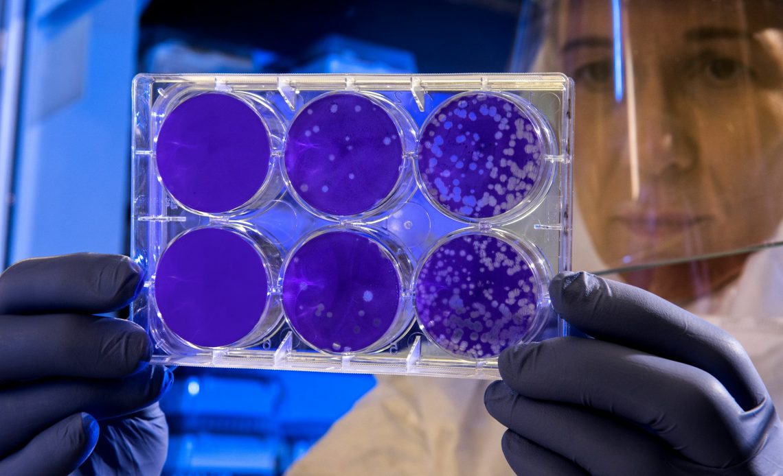Komórki macierzyste: Nowa era w medycynie regeneracyjnej